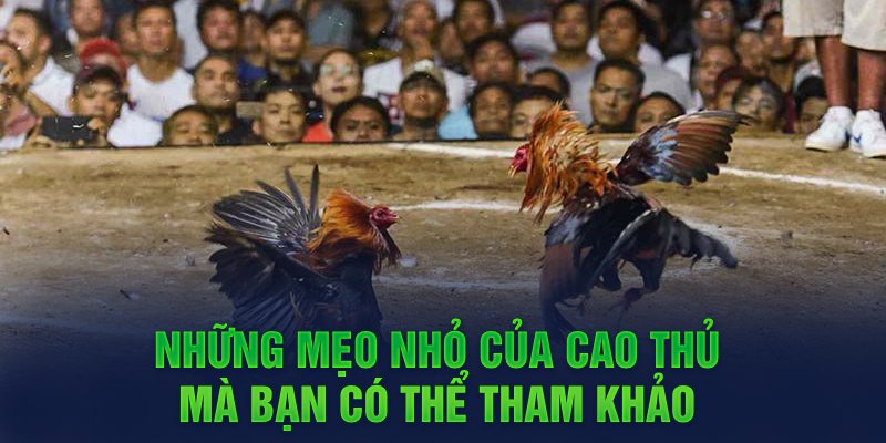 Những mẹo nhỏ của cao thủ mà bạn có thể tham khảo 