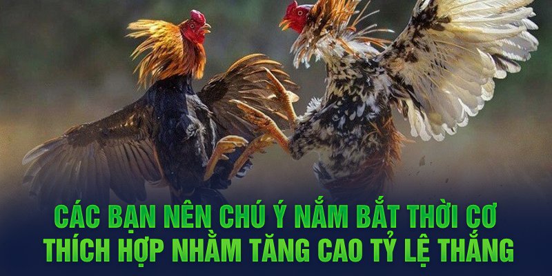 Các bạn nên chú ý nắm bắt thời cơ thích hợp nhằm tăng cao tỷ lệ thắng