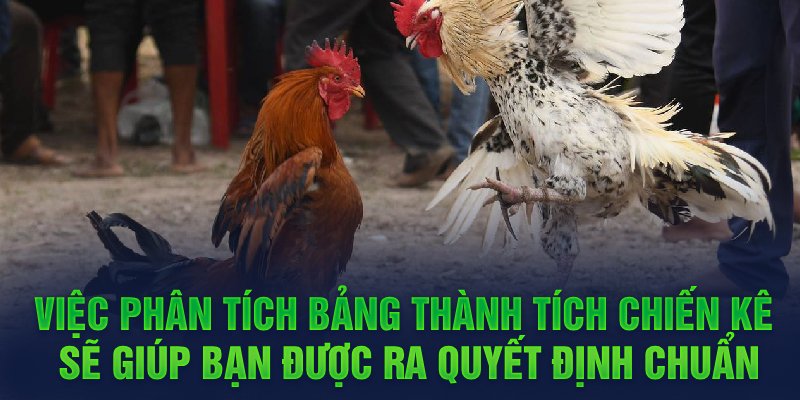 Việc phân tích bảng thành tích chiến kê sẽ giúp bạn được ra quyết định chuẩn